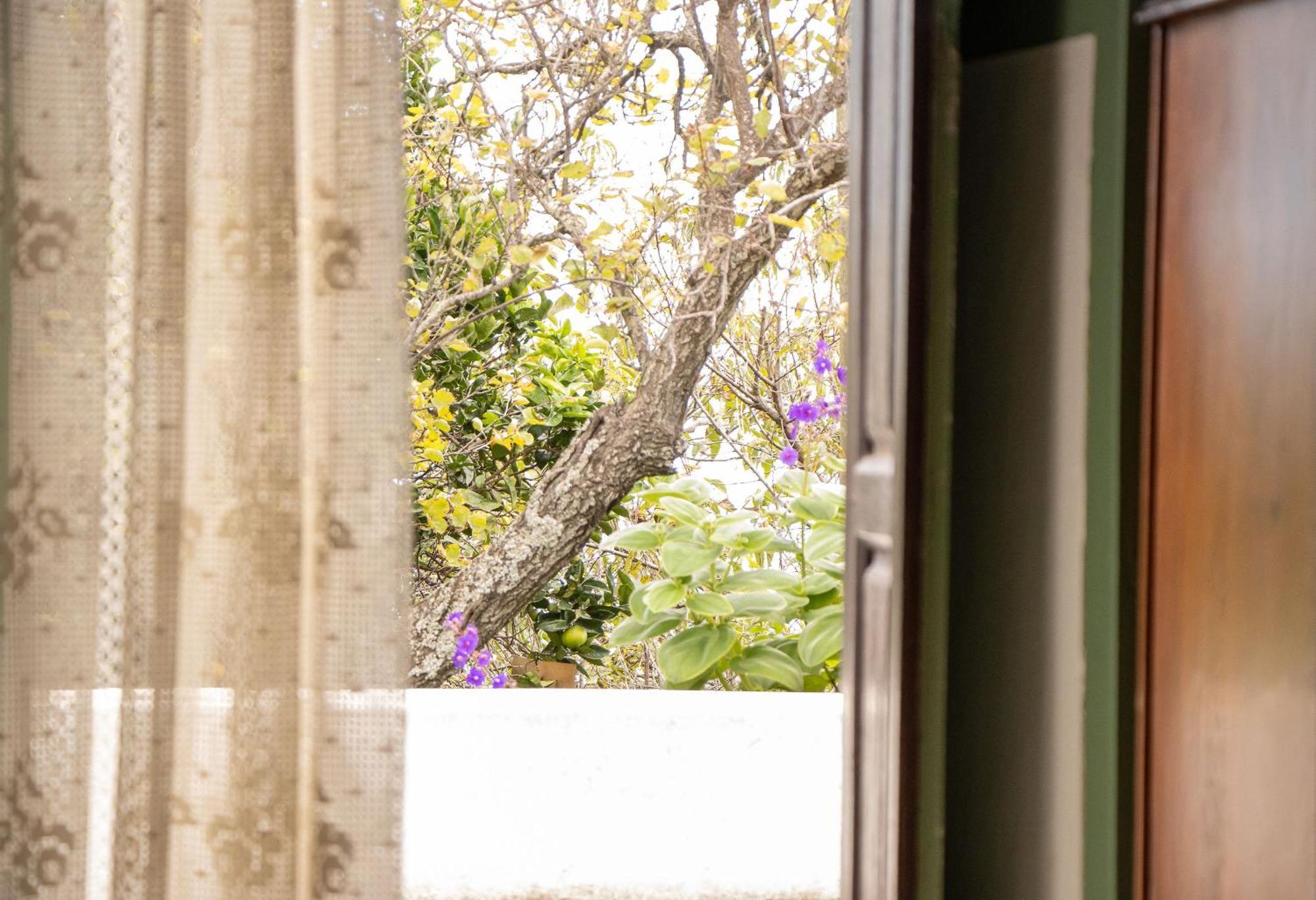 Vivienda Vacacional Finca Monterrey Mazo Kültér fotó